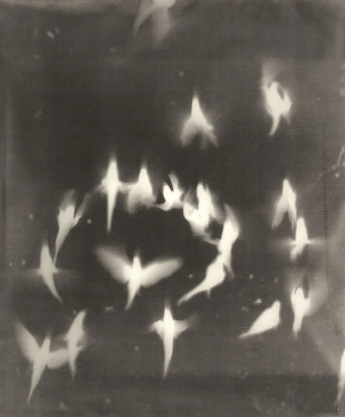 The Big Birdcage In the Sky