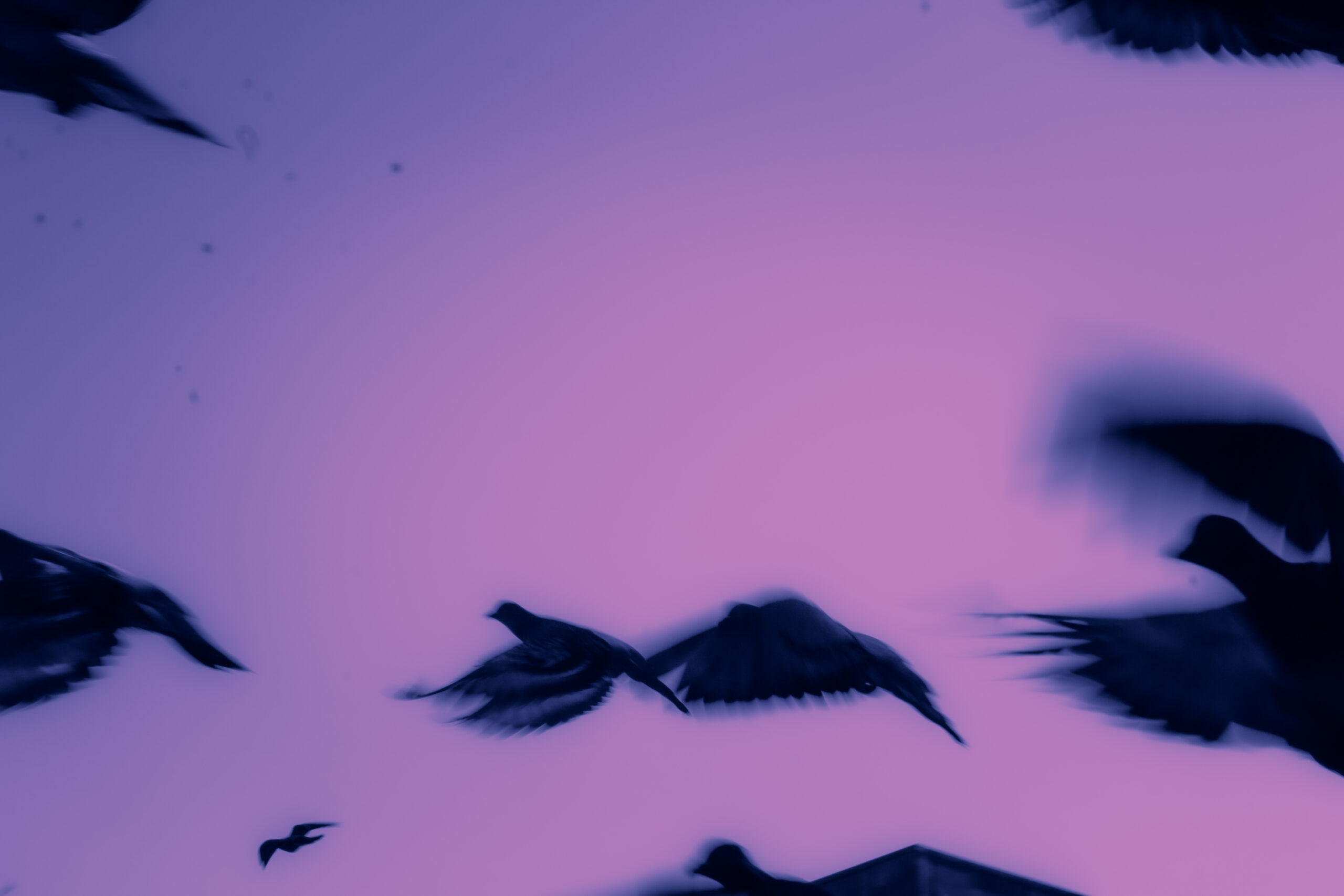 Hideous Twins: on faith, fires, and facing truth