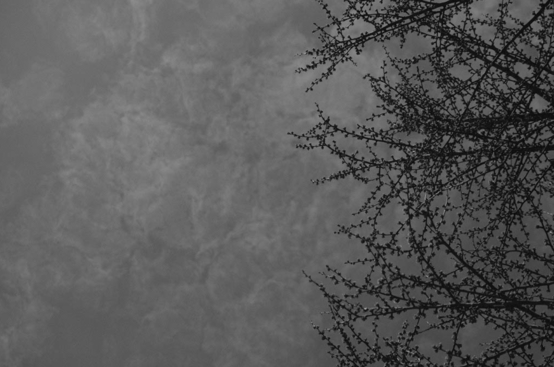 A persona che mai tornasse al mondo