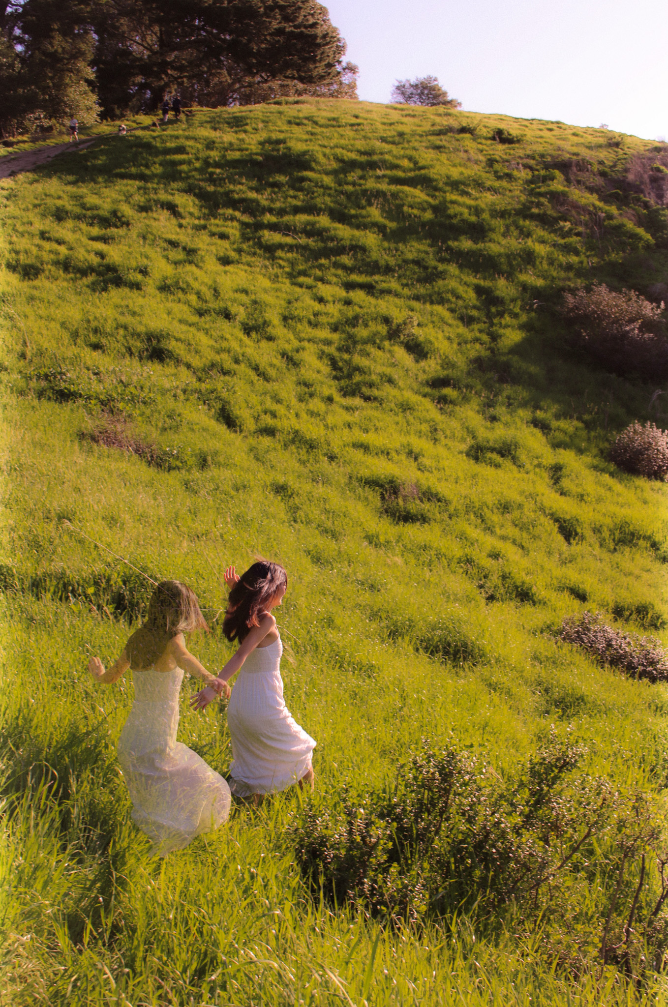 Please Watch the Clouds