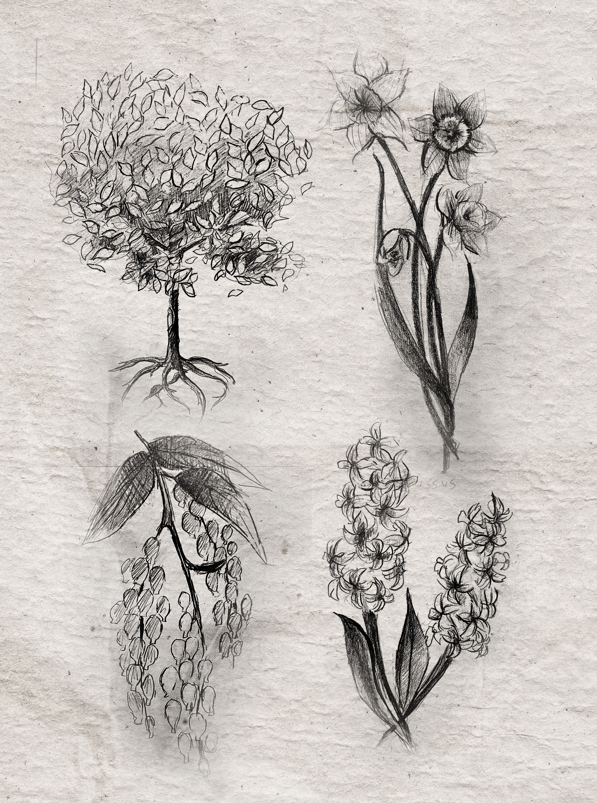 in vain, beloved boy (seven myths, a girl, and a garden)