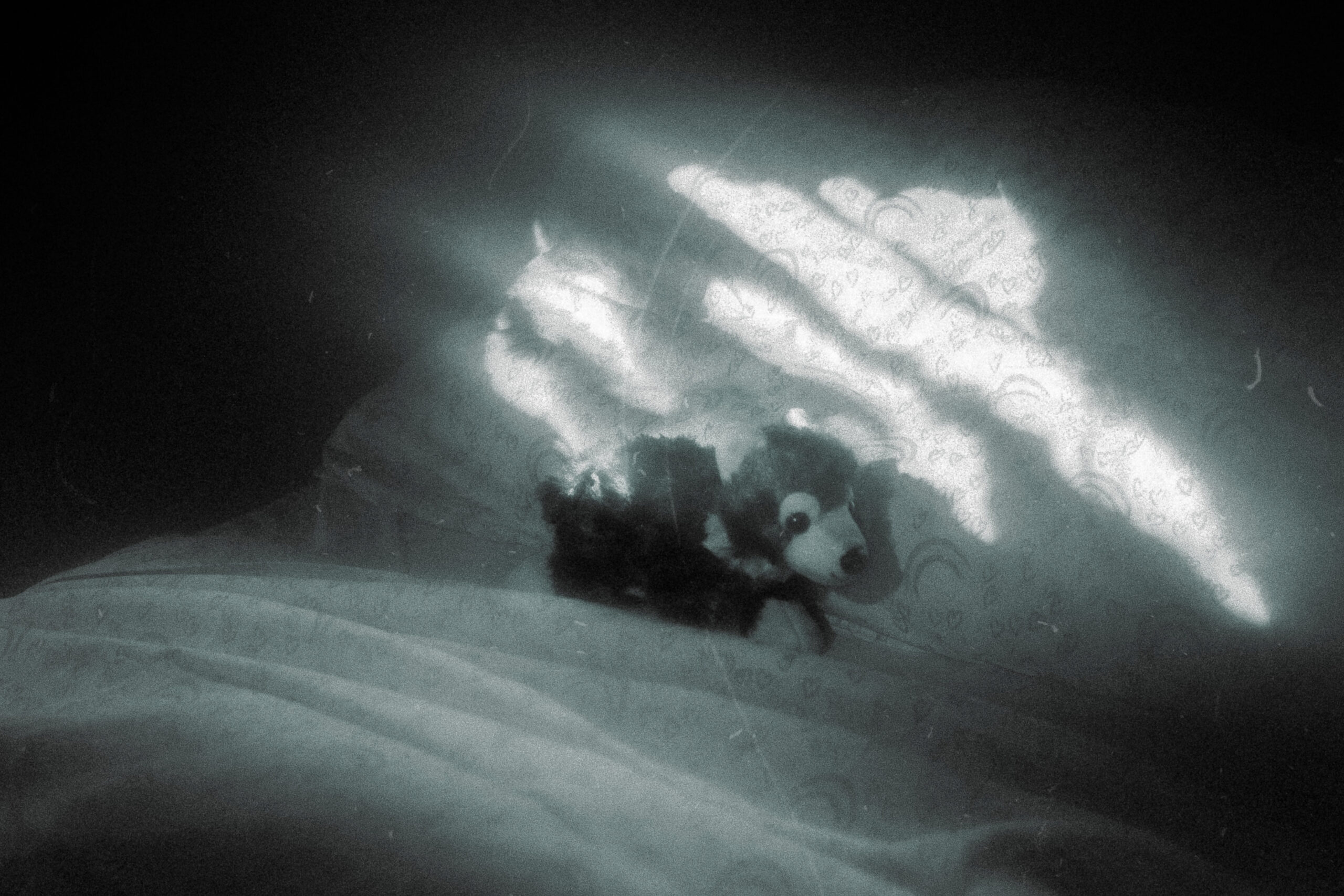 4 Times Dylan O’Brien Saved My Life and 1 Time He Didn’t