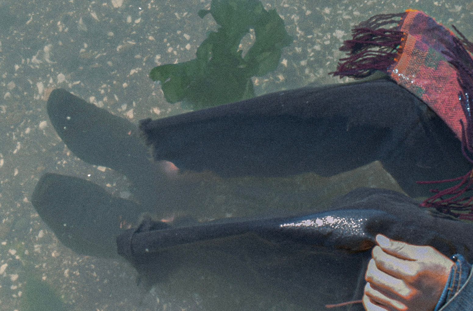 Dreamwalker speaks genesis